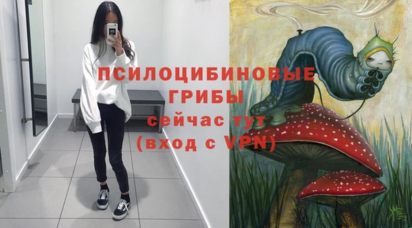 крисы Гусь-Хрустальный