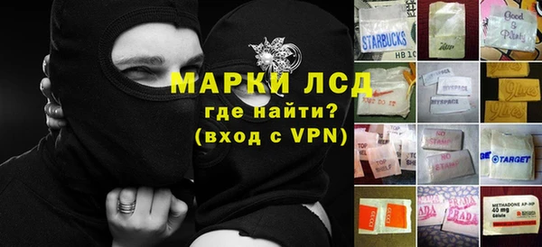 кокс Гусев