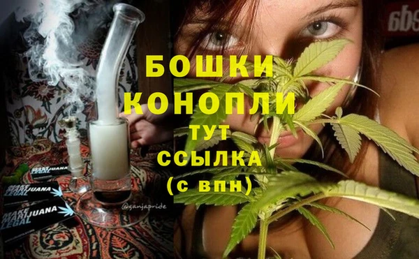 крисы Гусь-Хрустальный