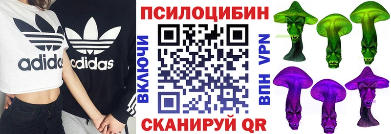 даркнет сайт  Ессентукская  Псилоцибиновые грибы MAGIC MUSHROOMS 